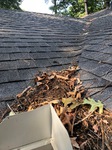 Clogged Gutters / Debris on Roof